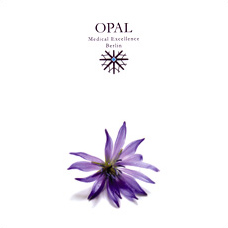 Cover der Imagebroschüre von OPAL Medical Excellence Berlin